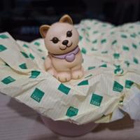 Gattino thun Limited edition Bauli 2026 