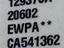 Immagine 6