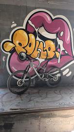 specialized enduro Comp 