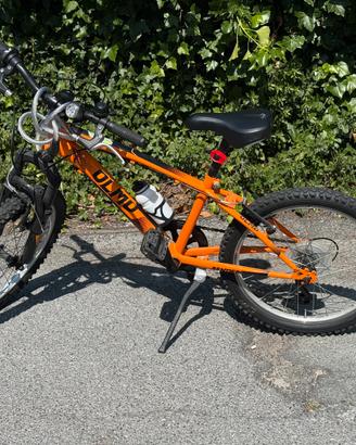 Bicicletta bambino Olmo da 20”