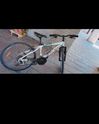 bici ragazzo ruote 24