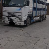 Volvo fh 420 bestiame