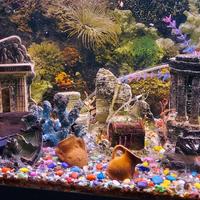 Acquario + Mobile + accessori
