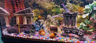 Acquario + Mobile + accessori