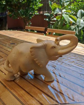 Elefante pietra saponaria