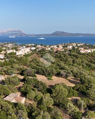 TERRENO A OLBIA
