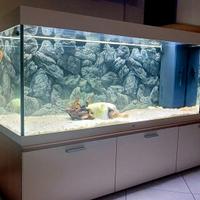 Acquario Juwel 450 litri 