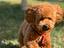 Immagine 4