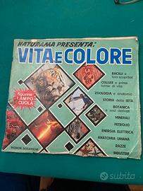 Album figurine Vita e Colore ed. Lampo Scuola 1969