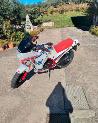 CAGIVA ALETTA ORO S2 125 2T CONSERVATO