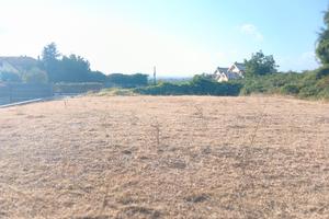 terreno colle olivo