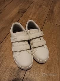 scarpe geox