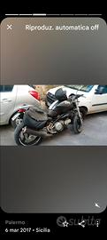 borse ducati Monster 