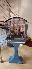 gabbia uccelli