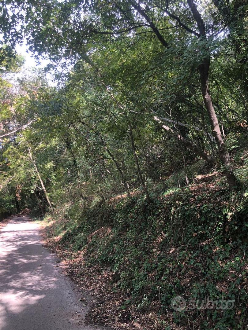 Terreno - Salita di Contovello alta - Vista 4