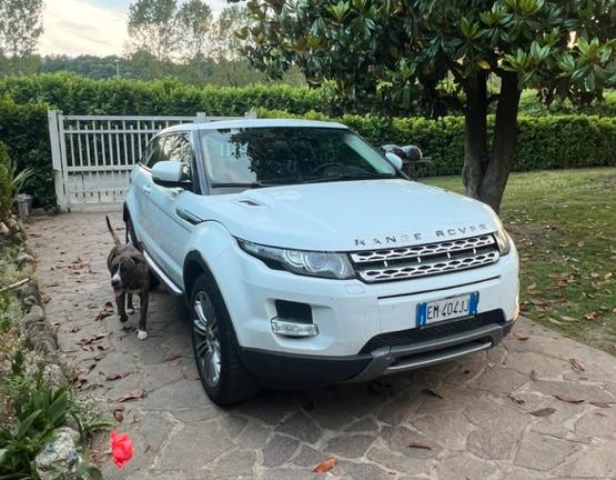 Rang rover Evoque 2.0 turbo benzina