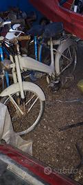 motorino mosquito 61