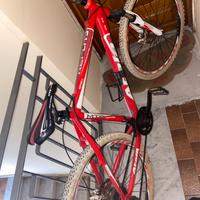 Bicicletta mountain bike