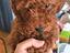 Immagine 1
