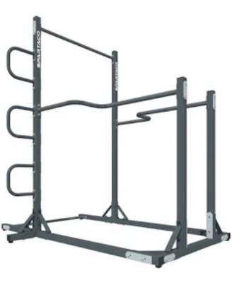 Power Tower struttira  Calisthenics Spartaco