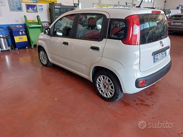 PANDA GPL