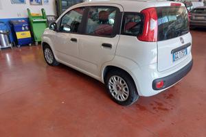 PANDA GPL