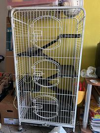 Gabbia conigli nani