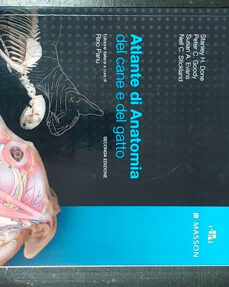 testo universitario