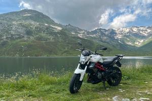 Moto naked sport Benelli Bn302 Abs 2018