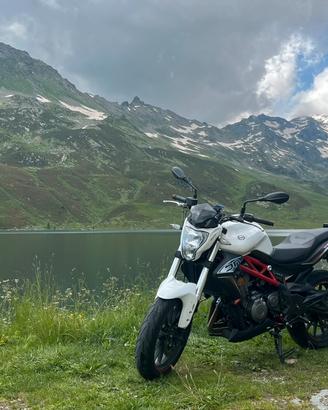 Moto naked sport Benelli Bn302 Abs 2018