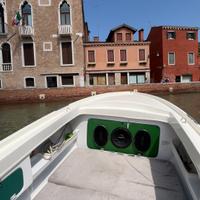 Nauti