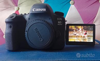 Titolo  : Canon eos 6D mark II come nuova