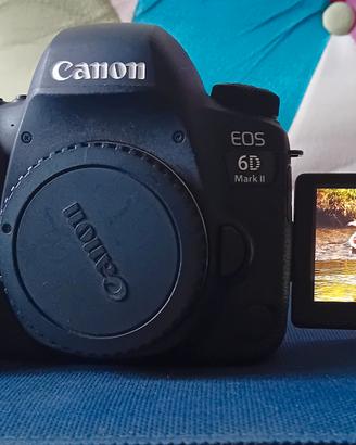 Titolo  : Canon eos 6D mark II come nuova