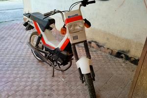 benelli 50cc 