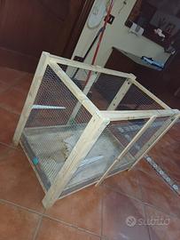 Splendido coniglietto Testa di Leone color miele c