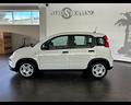 fiat-panda-1-0-firefly-s-s-hybrid