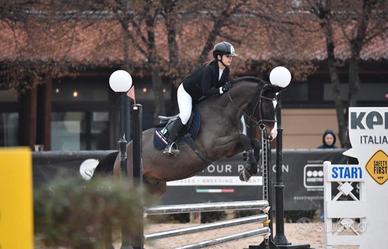 Cavallo da gara o compagnia