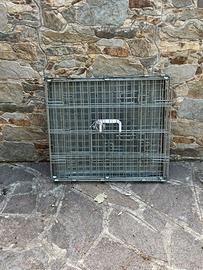 Gabbia/Kennel/Trasportino