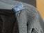 Immagine 4