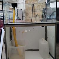 acquario marino extrachiaro 300 litri