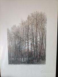 quadri 50x70 Benetti Marisa 