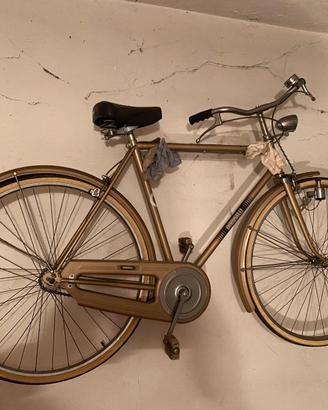 Bicicletta doniselli