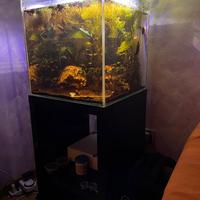Acquario 45 litri completo + mobile compreso
