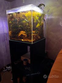 Acquario 45 litri completo + mobile compreso