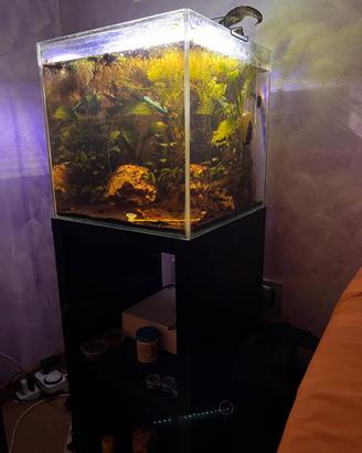 Acquario 45 litri completo + mobile compreso