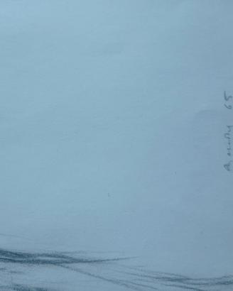 disegno a carboncino originale 