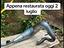 Immagine 6