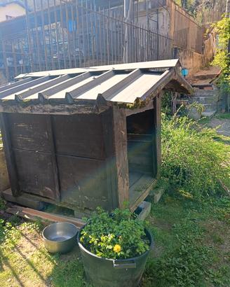 Cuccia in legno per cani grossa taglia