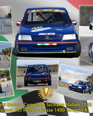 Peugeot 205 Rally