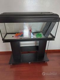 acquario 100lt